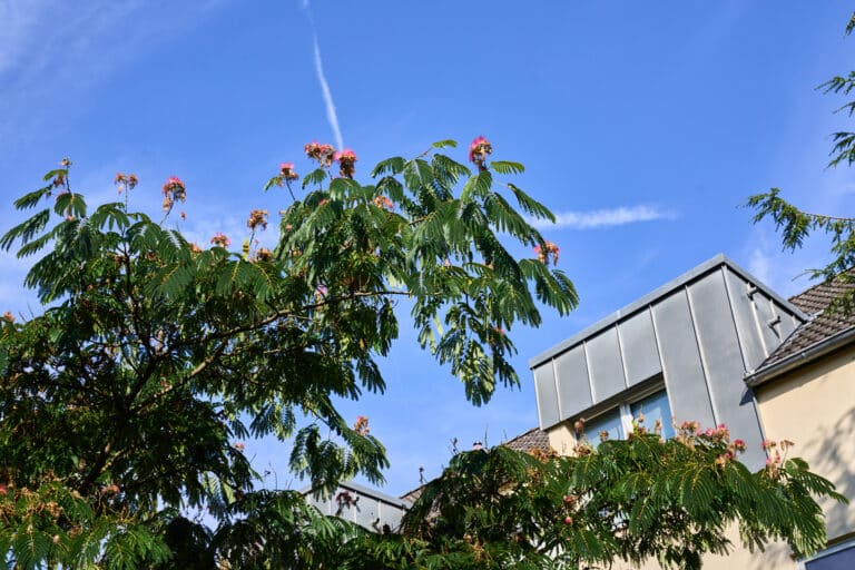 _Circl_2025087232_Jan Kaiser_edit